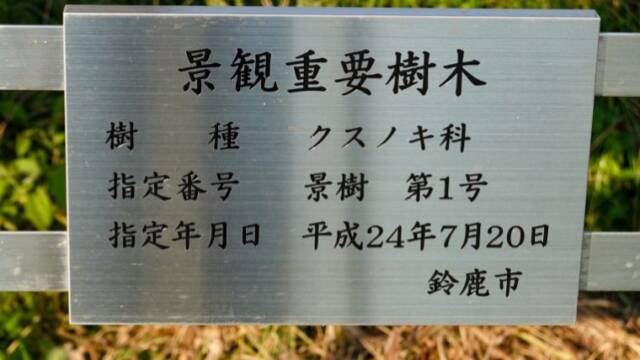 長太の大楠　景観重要樹木の標識
